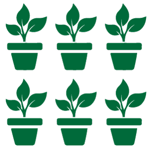 Seedlings icons