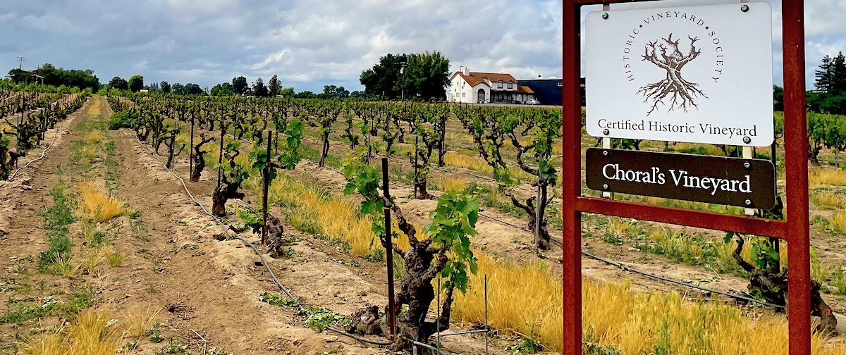 The Choral's Vineyard sign, marked Certified Historic Vineyard, at the edge of the old vines